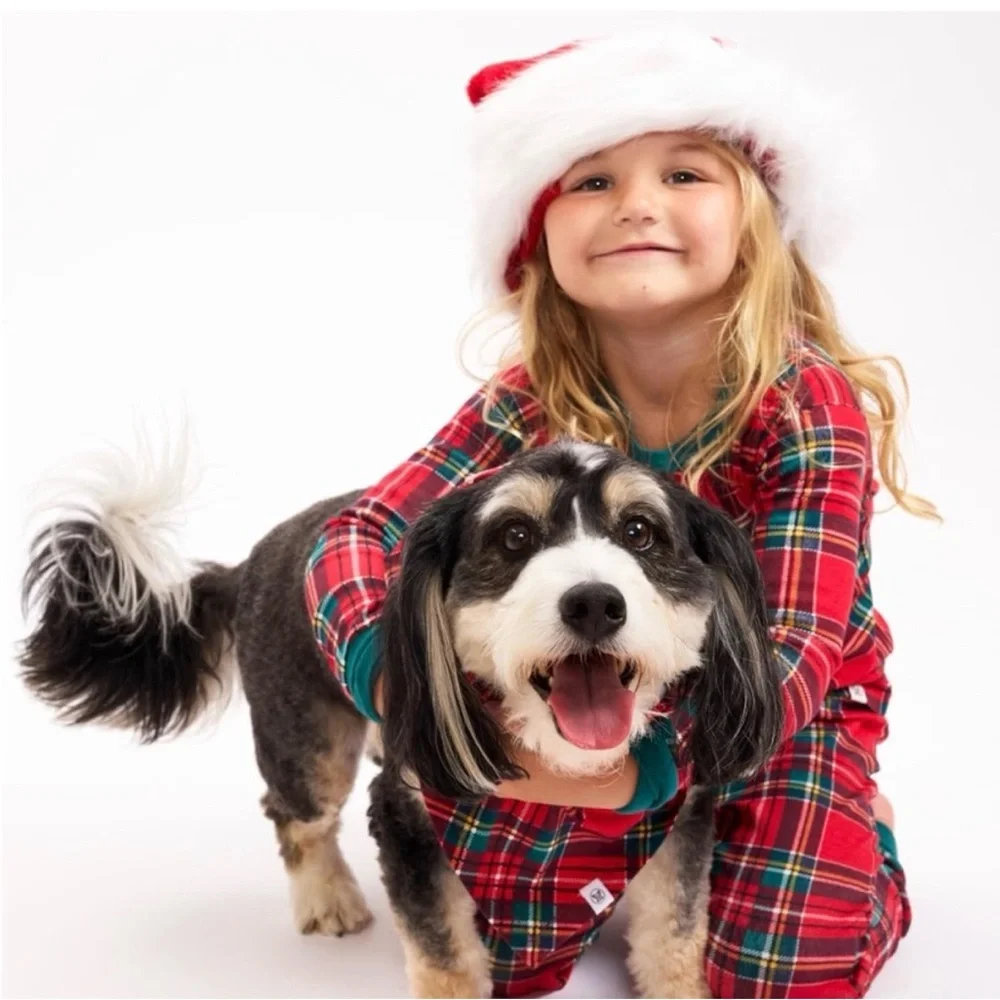 The Honest Company Plaid Pet Holiday Bandana